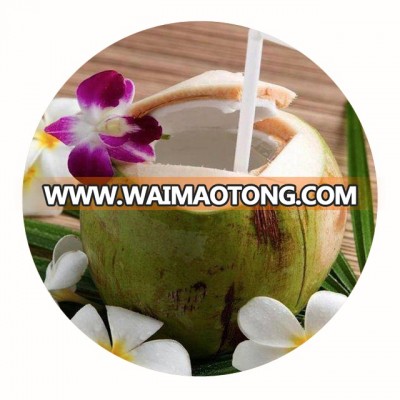 TOP QUALITY SWEET WATER FRESH GREEN COCONUT