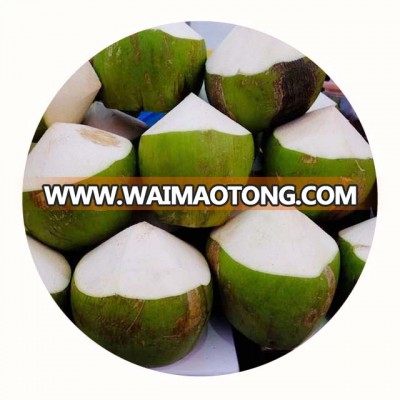 Fresh Green Coconut