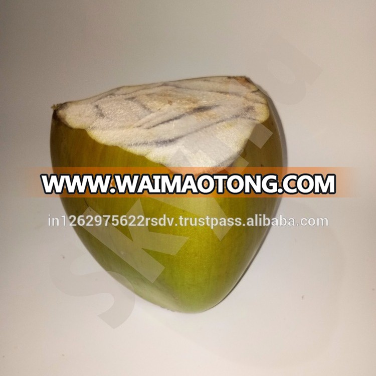 Best Quality Sweet water Fresh Green Tender Coconut